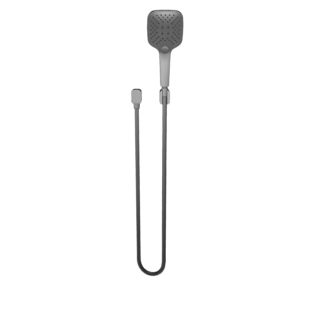 Caroma Luna Multifunctional Hand Shower Black 3D Model - The Blue Space
