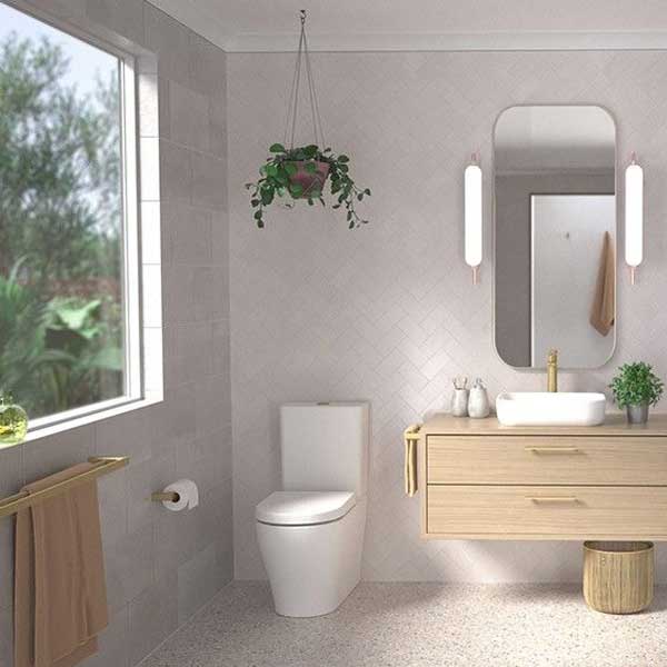 Caroma Luna Toilet Roll Holder Brushed Brass online at The Blue Space
