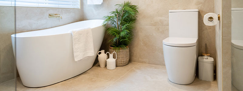 In the Market for a New Toilet? Here's What You Need to Know