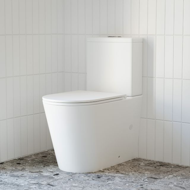 {"type":"root","children":[{"type":"paragraph","children":[{"type":"text","value":"Are there disadvantages to a Rimless Toilet?"}]}]}