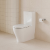 Back To Wall Toilets