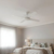 Ceiling Fans