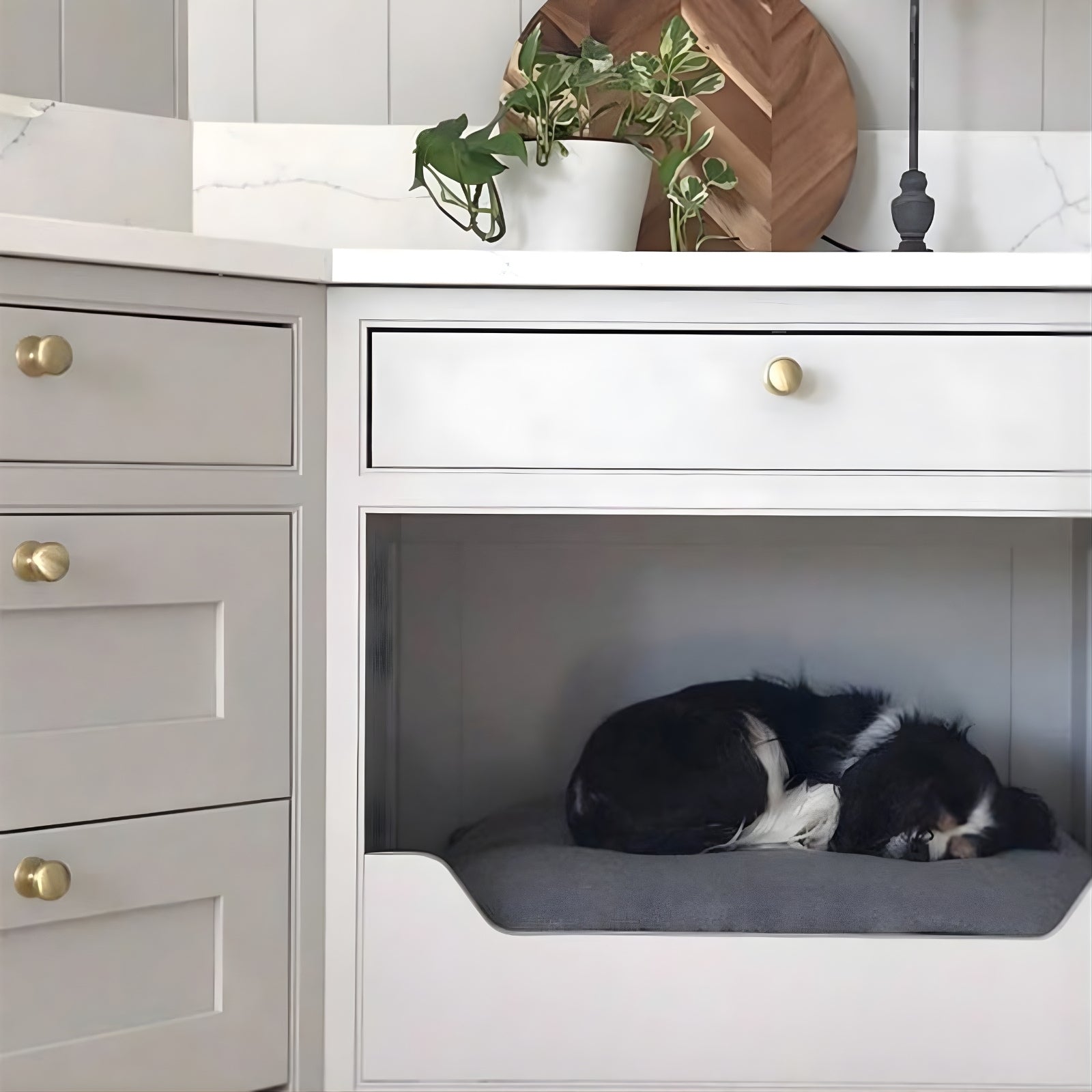 {"type":"root","children":[{"type":"paragraph","children":[{"type":"text","value":"Dog beds"}]}]}