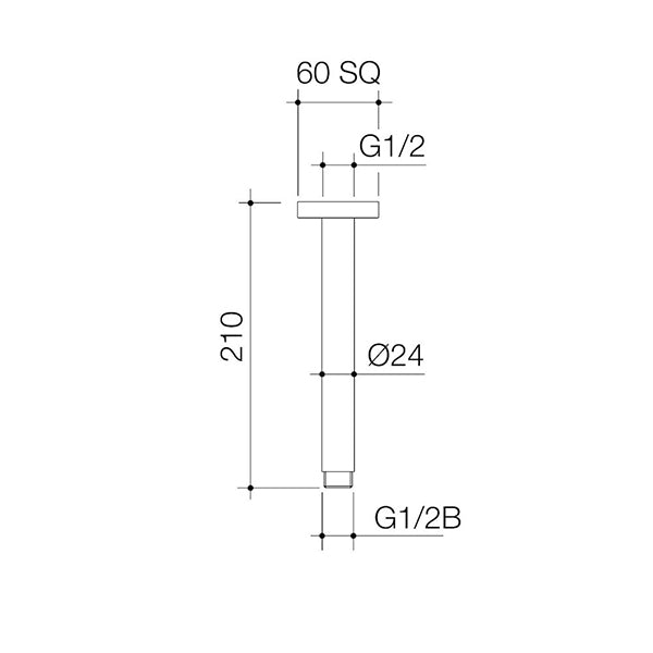Caroma Luna Straight Arm 210mm Brushed Brass