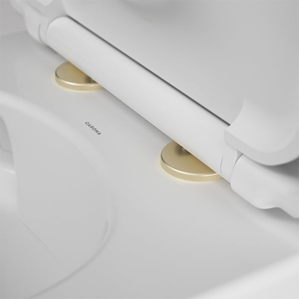 {"type":"root","children":[{"type":"paragraph","children":[{"type":"text","value":"Caroma Liano II Toilet Hinge Caps\n"}]}]}